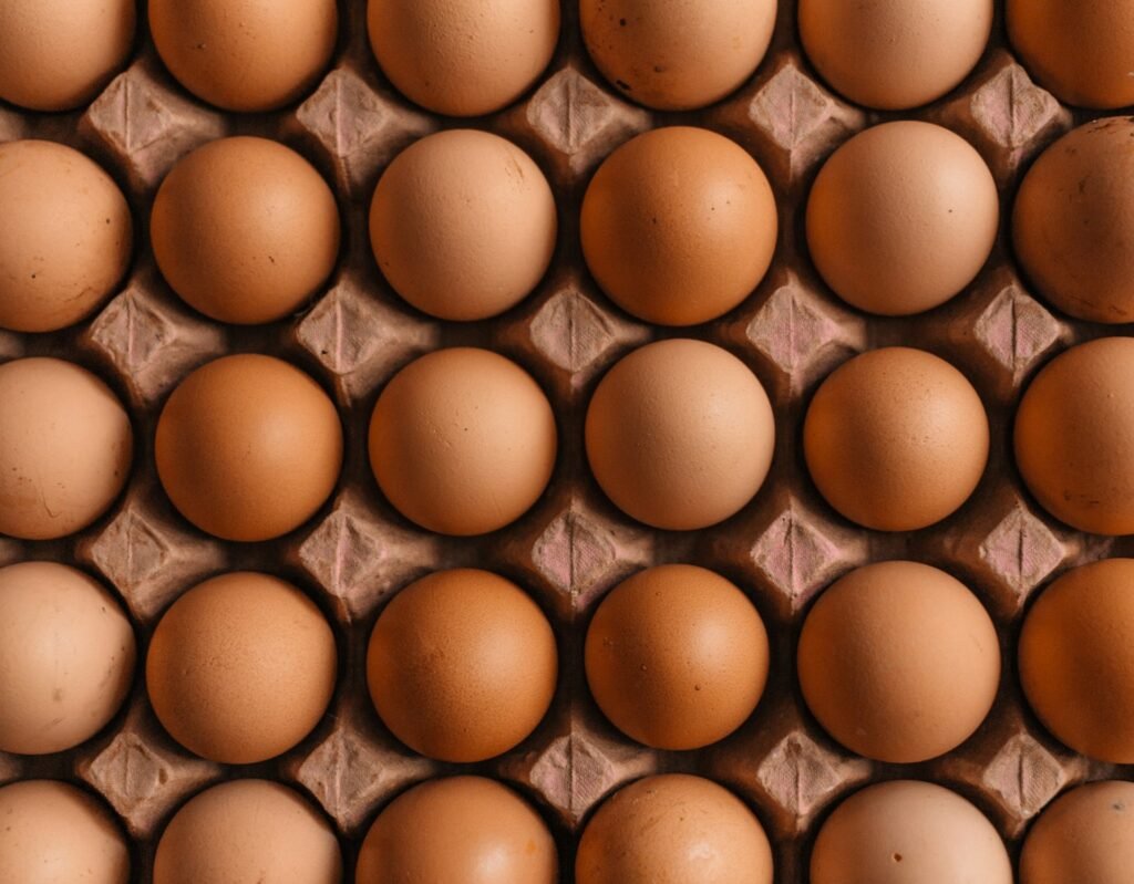 Cubeta de huevos marrones